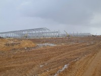 Коровники в д. Боруны на 10000 голов